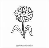 Zinnia Clipart Flower Drawing Outline Coloring Flowers Getdrawings Drawings Paintingvalley Popular Clipground sketch template