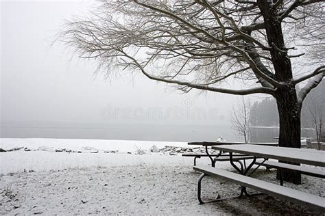 empty snow covered park  winter stock photo image  picnic