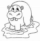 Hippo Coloring Pages Hippopotamus Kids Color Animals Cute Colouring Print Cartoon Printable Drawing Outline Animal Sheet Getdrawings sketch template