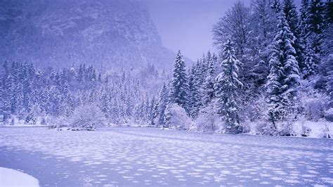 winter nature backgrounds wallpaper cave