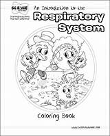 Respiratory System Coloring Pages Drawing Printable Color Template Clipart Science Getdrawings Getcolorings Popular sketch template