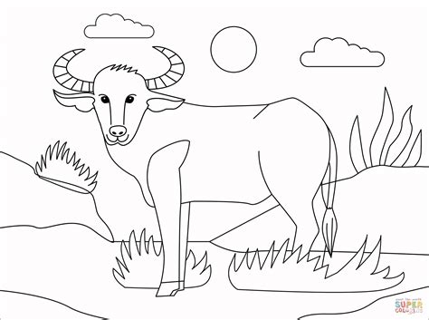 water buffalo coloring page  printable coloring pages