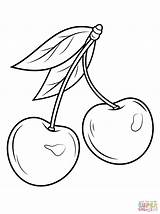 Coloring Pages Cherries Two Cherry Printable Drawing sketch template