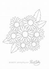 Coloring Flower Adult Pages Printable Book Aster sketch template