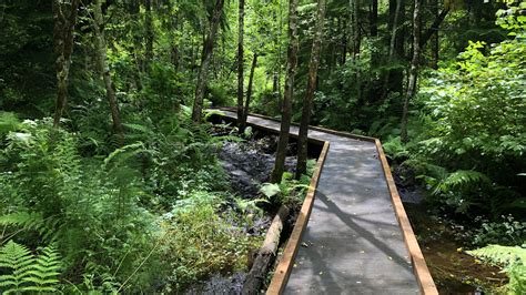 tradition plateau swamp trail reopens   iatc