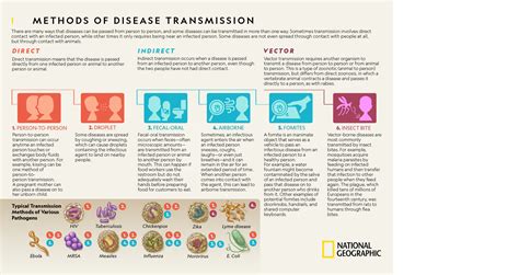 methods  disease transmission