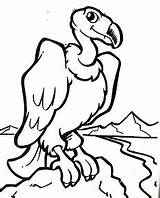 Condor Buitre Cóndor Dibujalia Andino Facil Enfadado Vulture Passo Imprimirla Ampliar Colores Artes Urubu Euamobiscuit sketch template