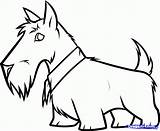 Scottie Terrier Dragoart Dogs Clipartmag sketch template