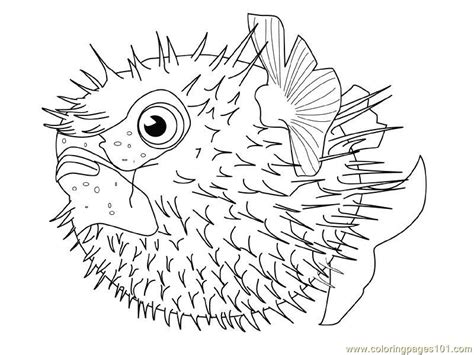 pufferfish coloring   designlooter