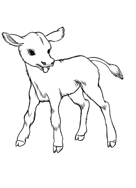 born baby  coloring page baby animal drawings
