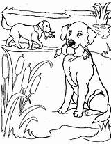 Coloring Pages Printable Dog Realistic Pets Puppy Lovers Library Clipart Sheets Comments Book sketch template
