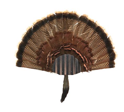turkey fan mounting kit    fan display black etsy