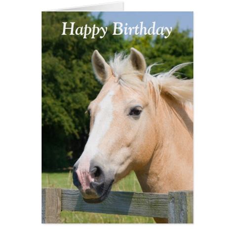 beautiful horse head palamino happy birthday card zazzle