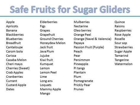 sugar glider safe food list sugar glider food sugar glider care sugar glider pet