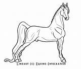 Horse Saddlebred Lineart Pinto American Morgan sketch template