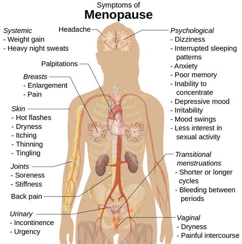 Difference Between Menopause And Postmenopause Difference Between