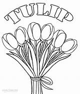 Tulips Bouquet Tulipe Tulpe Colouring Tulipanes Colorear Cool2bkids Bordar Getdrawings sketch template