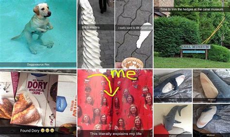 Are These The Best Snapchats Ever Snapchat Brighten Your Day Good