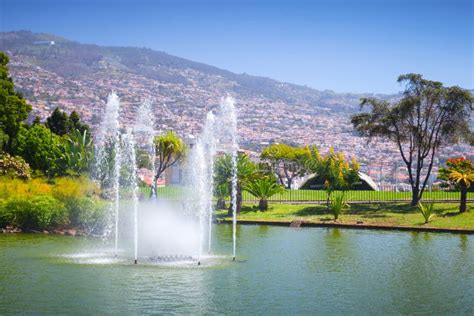 fountains  santa catarina park funchal stock image image  plant beautiful
