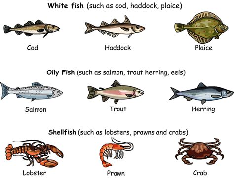 meat poultry  seafood vocabulary english vocabulary english