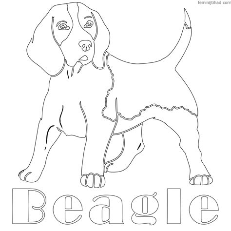 beagle coloring pages  printable coloringfoldercom beagle
