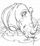 Coloring Rhino Pages Rhinoceros Kids Rhinos Printable Animal Colouring Large Print Books Book Drawing Popular Elephant Coloringhome Choose Board Comments sketch template
