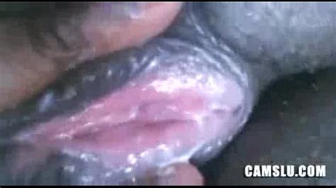 Black Wet Pussy Finger Fuck And Cum Xnxx
