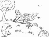 Sphinx Robin Coloring Pages Great Female sketch template