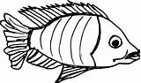 Fish Drawing Transparent Onlygfx Size Px 1089 1834 Resolution sketch template
