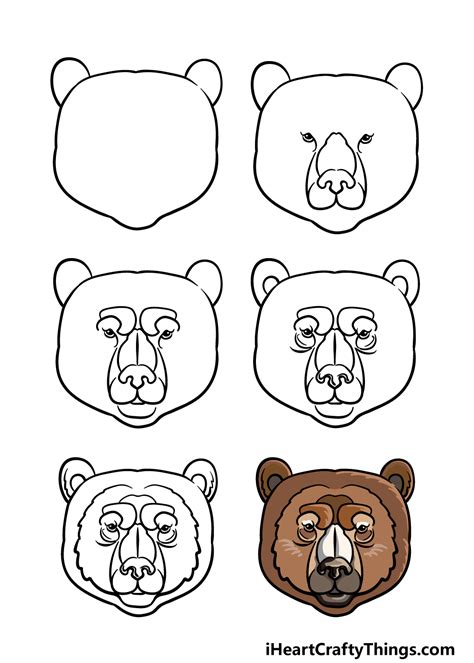 bear face drawing   draw  bear face step  step