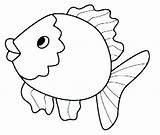 Animal Nemo Pez Peces Coloringfolder sketch template