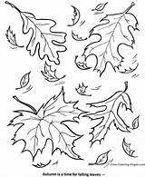 Coloring Fall Pages Autumn sketch template