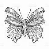 Zentangle Stylized Butterfly Colorear Butterflies Kidspressmagazine Doodle sketch template