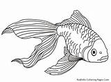 Fish Coloring Pages Detailed Realistic Getcolorings Printable Tropical sketch template