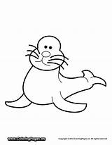Seal Coloring Pages Template Coloringtop sketch template