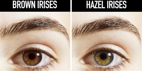 What Your Eye Color Says About Your Health