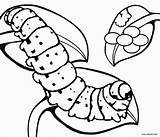 Caterpillar Raupe Cool2bkids Ausdrucken Clipartmag Sensational sketch template