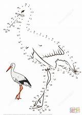 Stork Coloring Choose Board sketch template