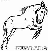 Mustang Horse Coloring Pages Animal Colorings Print sketch template