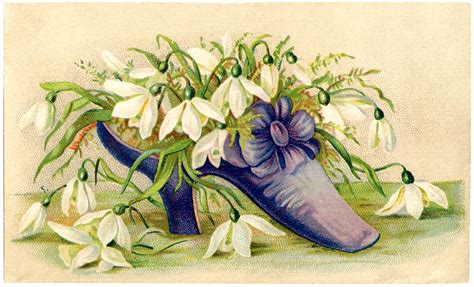 victorian shoe image flowers the graphics fairy