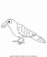Raven Coloring Color Crafts Designlooter Birds 725px 59kb sketch template
