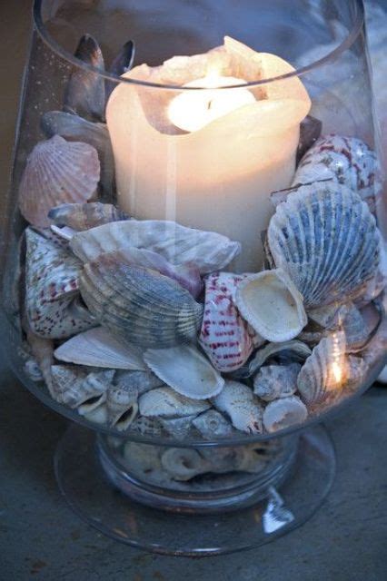 decorate  seashells  inspiring ideas digsdigs