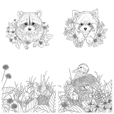 forest animals coloring book kayliebooks