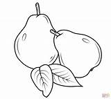 Peras Pears Pera Birnen Mewarnai Pear Pere Disegno Hitam Putih Colorear Paud Desenho Birne Buahan Kolorowanki Usia Ausmalen Sketsa Gruszki sketch template