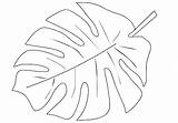 Jungle Leaves Drawing Coloring Pages Paintingvalley Plants sketch template