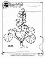 Coloring Oregon Trail Drawing Flower State Getdrawings Getcolorings Wagon sketch template