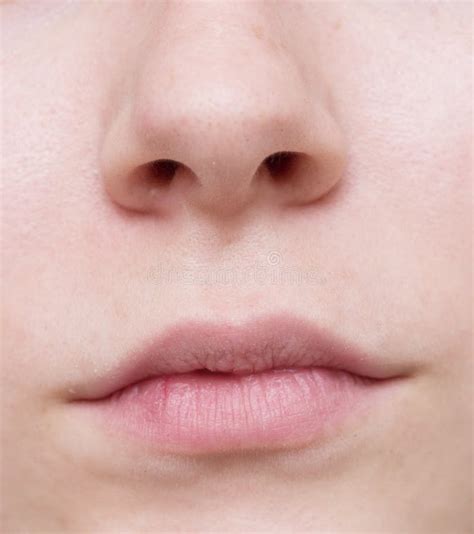 nose  mouth stock photo image  face caucasian