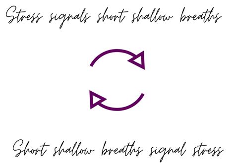 basic breath work  relieve stress purple lotus yoga