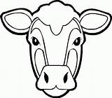 Vaca Colorat Desene Animale Planse Domestice Vacute Vitel Bou Head Imaginea Xcolorings Coloring sketch template