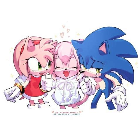 pin by 🐇 ČŘËÄm ŢhË ŘÄbbĪŢ 🐇 on amy rose hedgehog art sonic fan